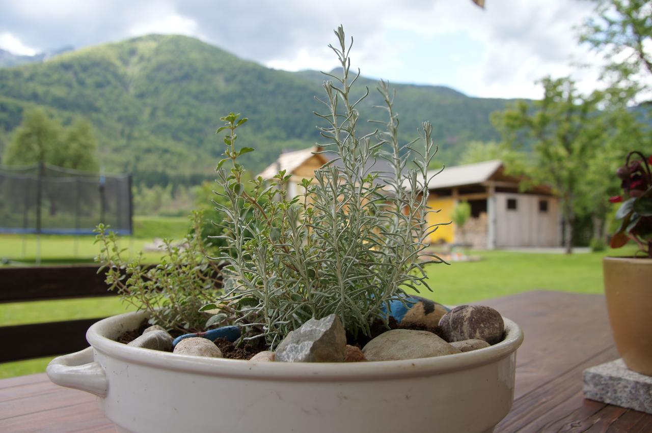 Apartments Markez Bohinj Exterior foto